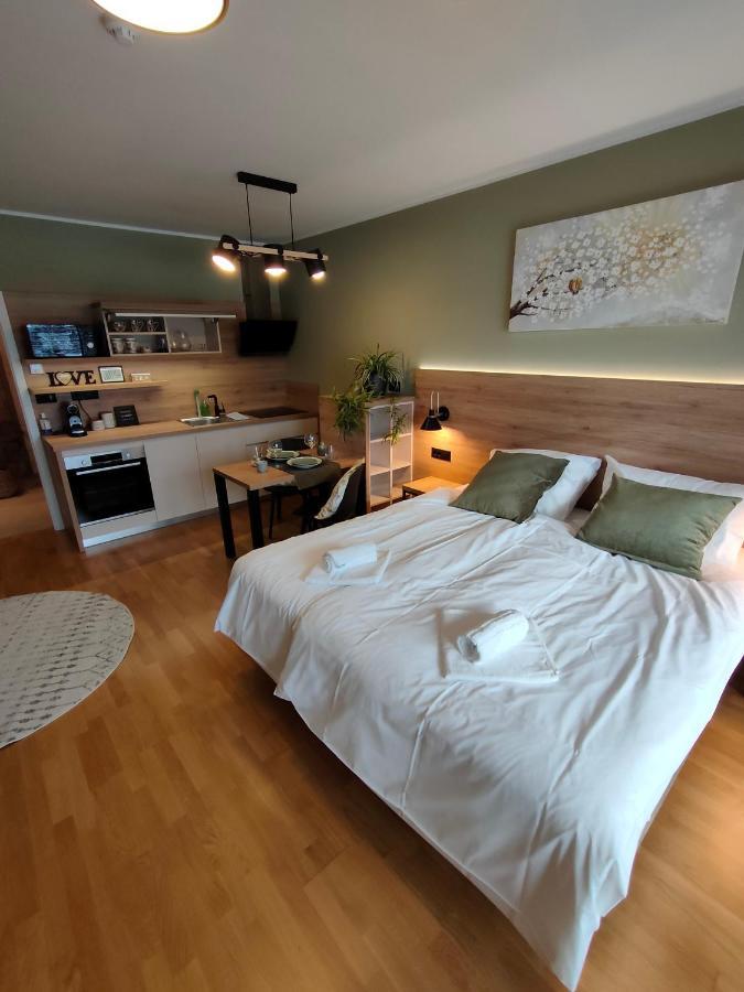 Bed & Breakfast Rezidenca Pipanova Ljubljana Luaran gambar