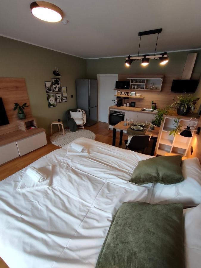 Bed & Breakfast Rezidenca Pipanova Ljubljana Luaran gambar